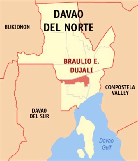 Municipality of Braulio E. Dujali Map .